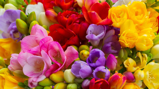 How to Keep Your Fresh Flowers Vibrant in Chicago’s Changing Seasons