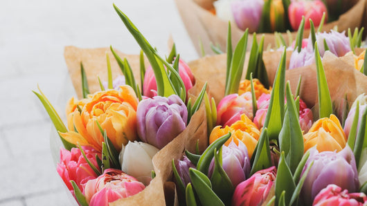 The Meaning of Different Flowers: A Chicago Florist’s Guide