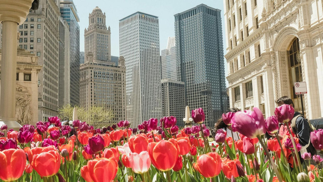 The Best Flowers for Every Season in Chicago