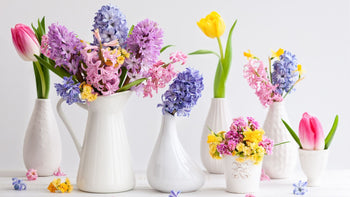 How to Choose the Perfect Flowers for Every Occasion in Chicago