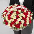 Red and White