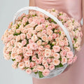 Blush Bascket
