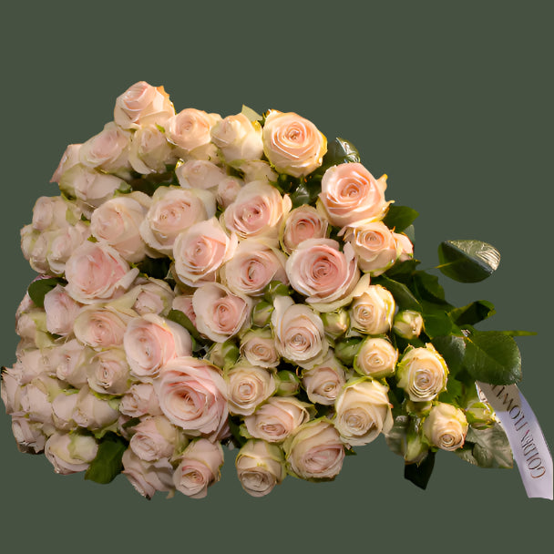 Pink Spray Roses with Ribbon | Golden Flowers Chicago