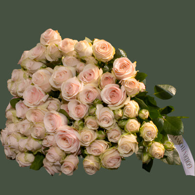 Charming Pink Spray Roses for Every Occasion
