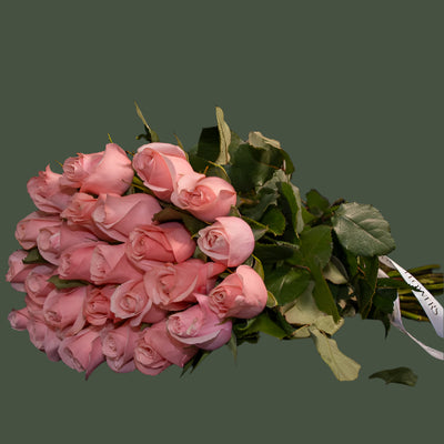 Hermosa - Premium Pink Roses for Elegant Gifting
