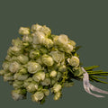 White spray roses