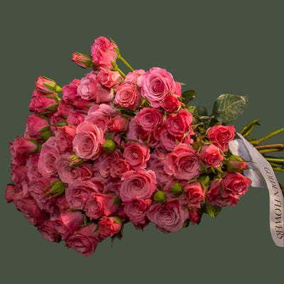 Vibrant Hot Pink Spray Roses for Bold Beauty